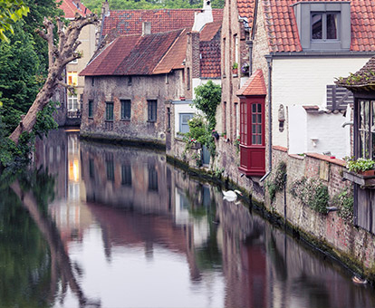 Busy do Belgii - przewóz osób